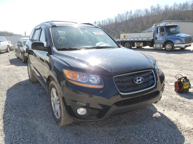 HYUNDAI SANTA FE S 2010 5nmshdag7ah350702