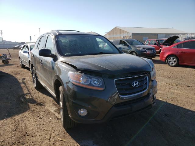 HYUNDAI SANTA FE S 2010 5nmshdag7ah355219