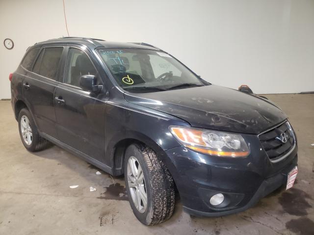 HYUNDAI SANTA FE S 2010 5nmshdag9ah407580