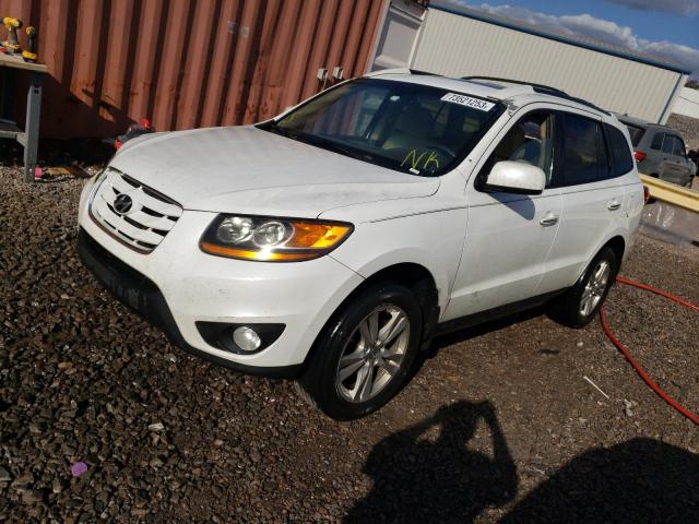 HYUNDAI SANTA FE 2010 5nmsk4ag5ah359500