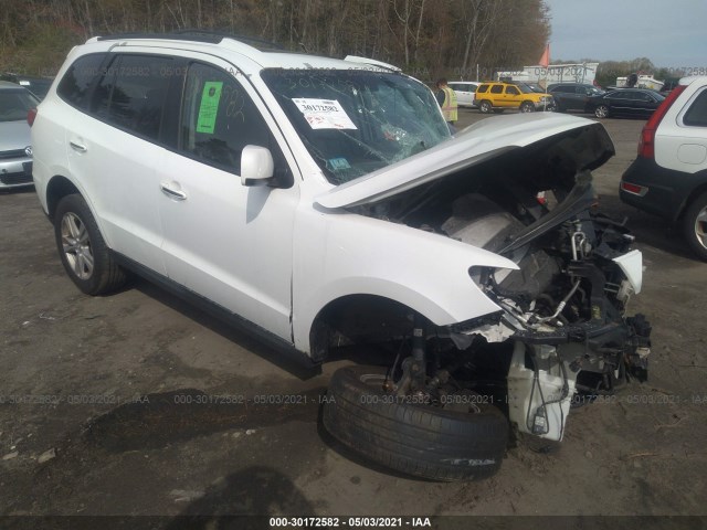 HYUNDAI SANTA FE 2010 5nmskdag0ah333919