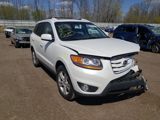 HYUNDAI SANTA FE L 2010 5nmskdag2ah337809