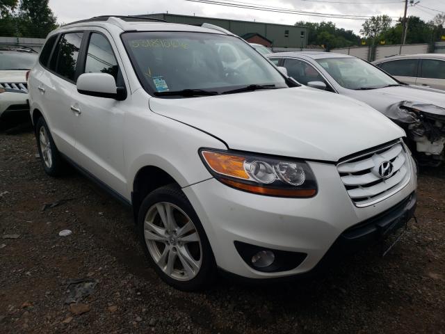 HYUNDAI SANTA FE L 2010 5nmskdag6ah370960