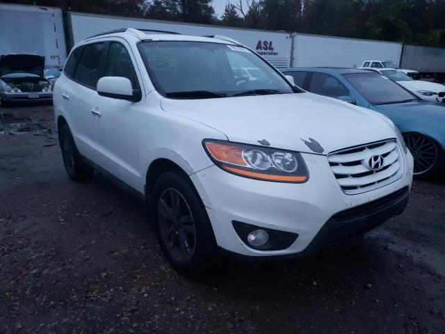 HYUNDAI SANTA FE L 2010 5nmskdag8ah355683