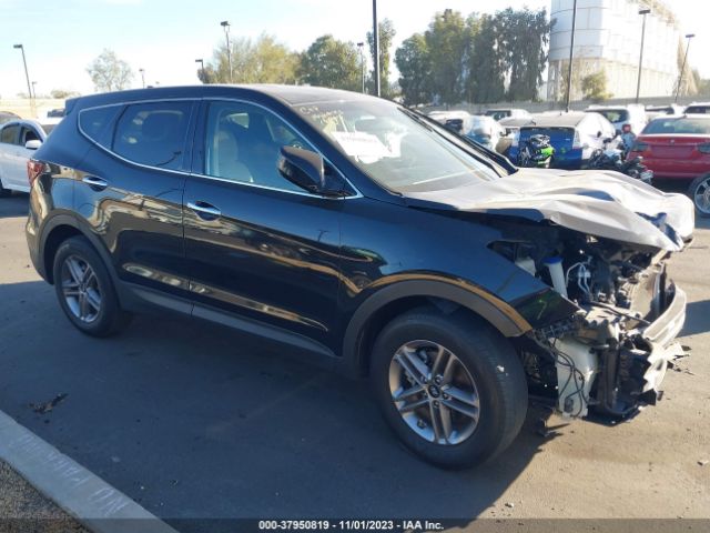 HYUNDAI SANTA FE SPORT 2017 5nmzt3lb4hh029848