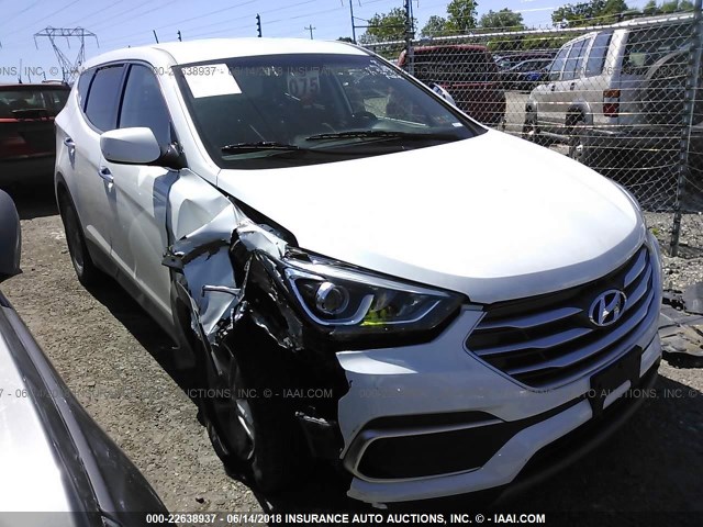 HYUNDAI SANTA FE SPORT 2018 5nmzt3lb8jh096443