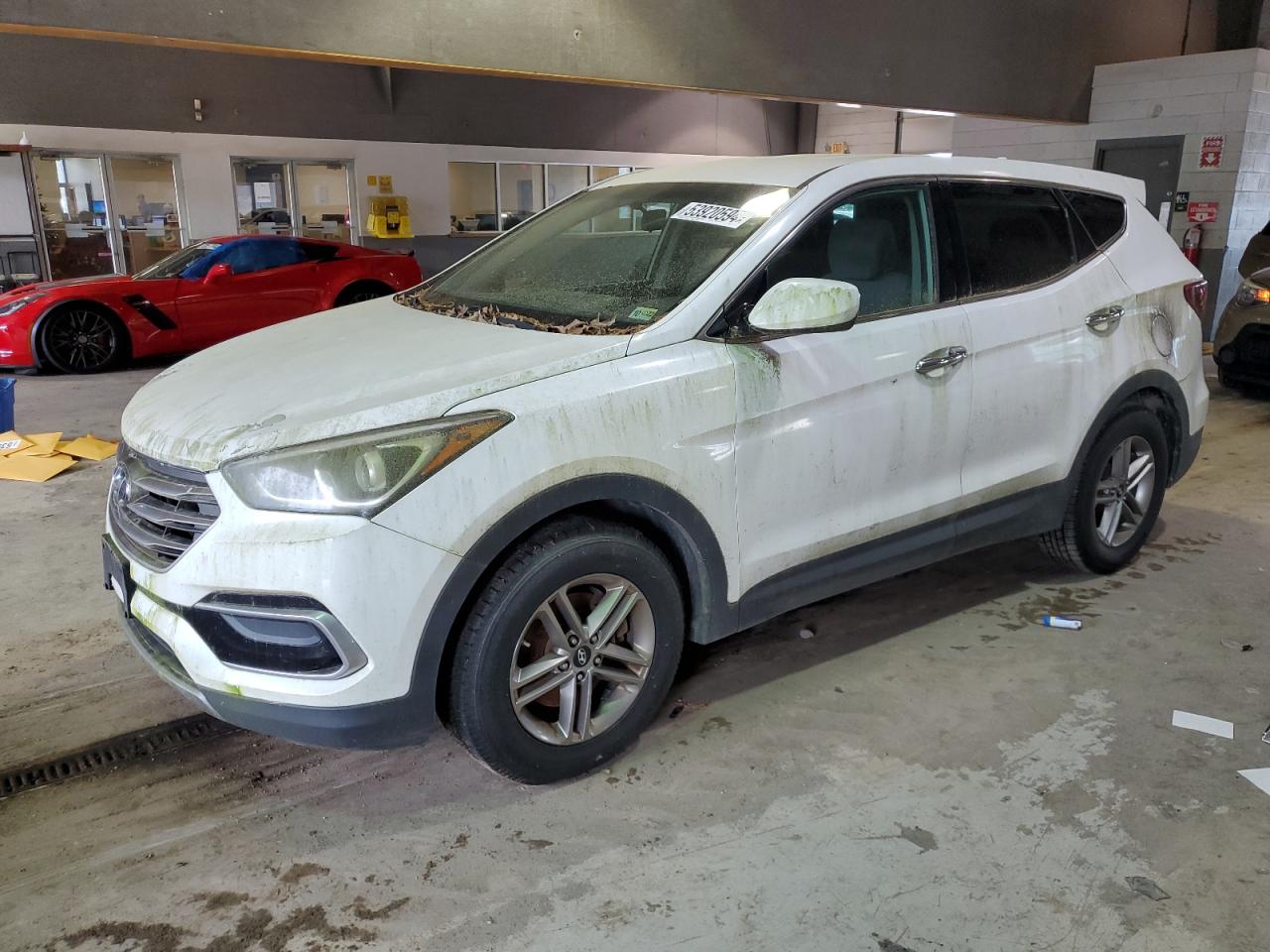 HYUNDAI SANTA FE 2017 5nmztdlb0hh004015