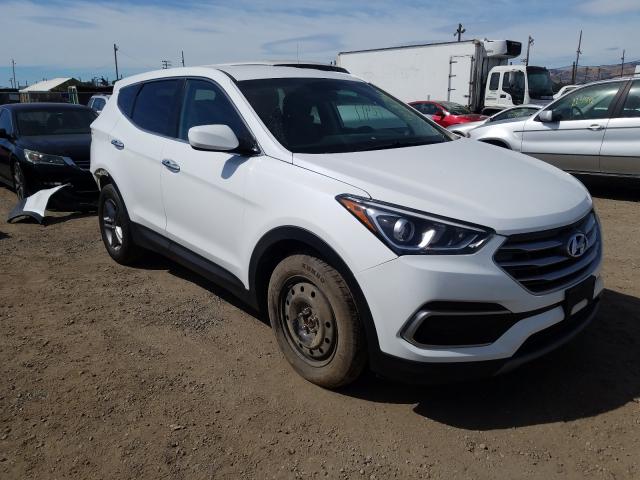 HYUNDAI SANTA FE S 2017 5nmztdlb1hh013063