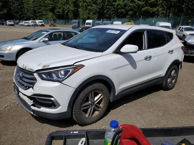 HYUNDAI SANTA FE S 2017 5nmztdlb2hh002220