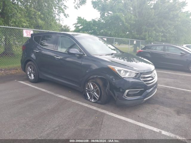 HYUNDAI SANTA FE SPORT 2017 5nmztdlb4hh000193