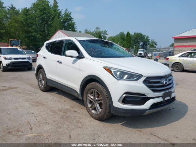 HYUNDAI SANTA FE SPORT 2017 5nmztdlb4hh023439