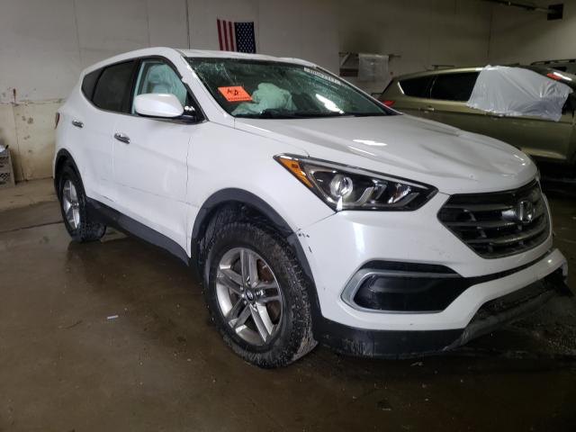 HYUNDAI SANTA FE S 2017 5nmztdlb5hh002213