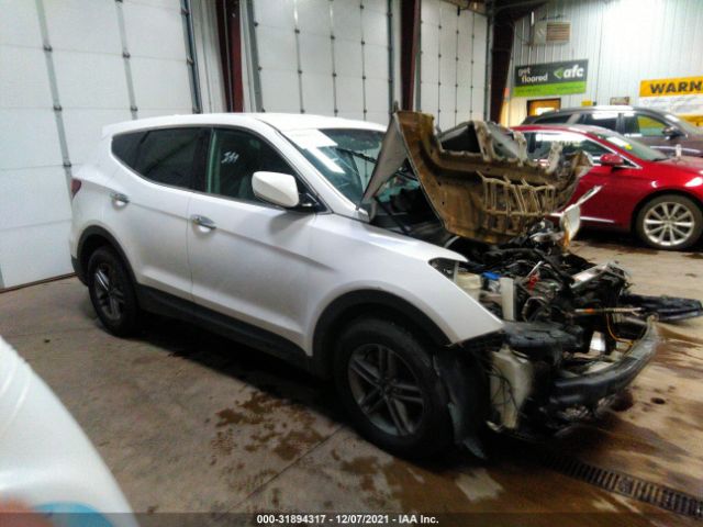 HYUNDAI SANTA FE SPORT 2017 5nmztdlb7hh000656