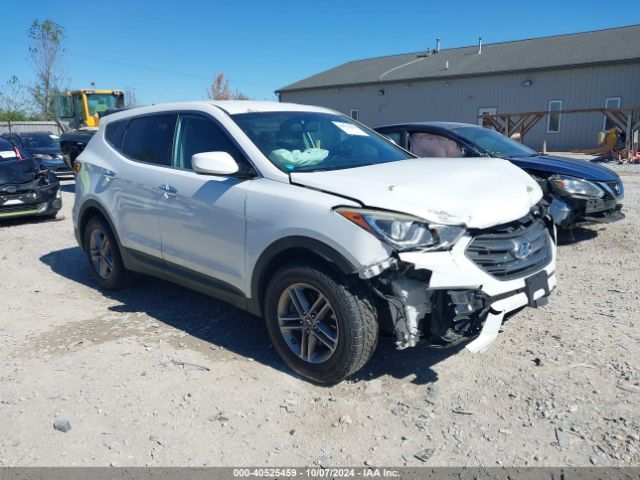 HYUNDAI SANTA FE SPORT 2017 5nmztdlb7hh001046