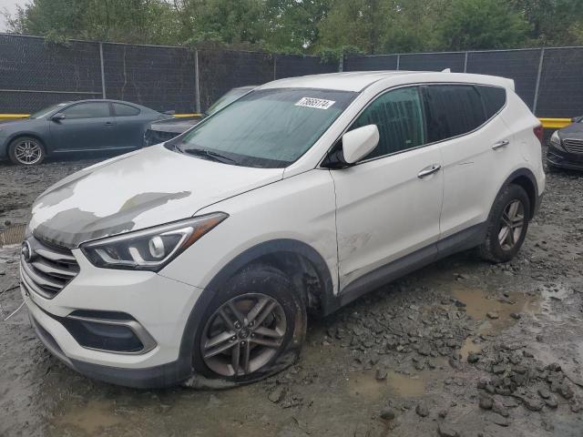 HYUNDAI SANTA FE S 2017 5nmztdlb7hh026268