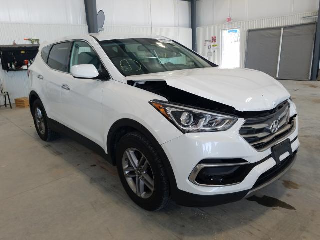 HYUNDAI SANTA FE S 2017 5nmztdlb8hh027915