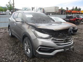 HYUNDAI SANTA FE S 2017 5nmztdlb9hh000772