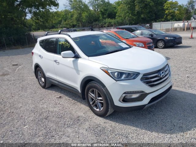 HYUNDAI SANTA FE SPORT 2017 5nmzu3lb1hh021381