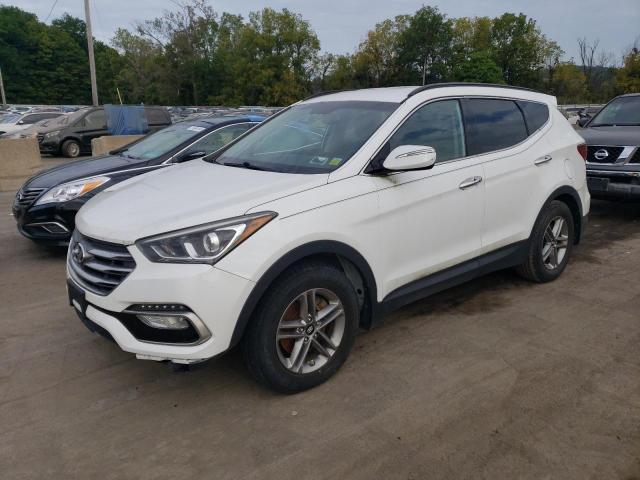 HYUNDAI SANTA FE S 2017 5nmzudlb0hh007798