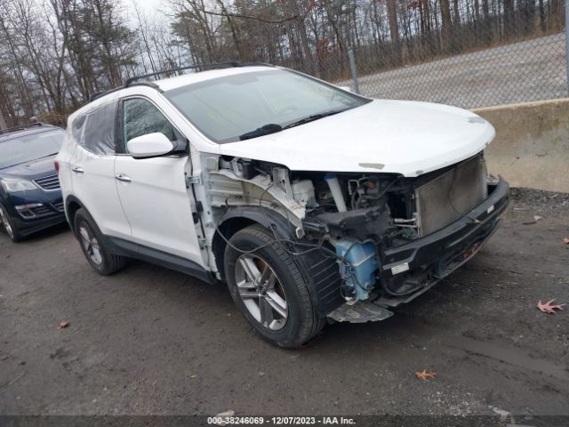 HYUNDAI SANTA FE SPORT 2017 5nmzudlb1hh011276