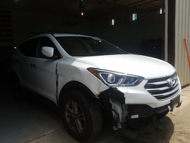 HYUNDAI SANTA FE S 2017 5nmzudlb2hh011528