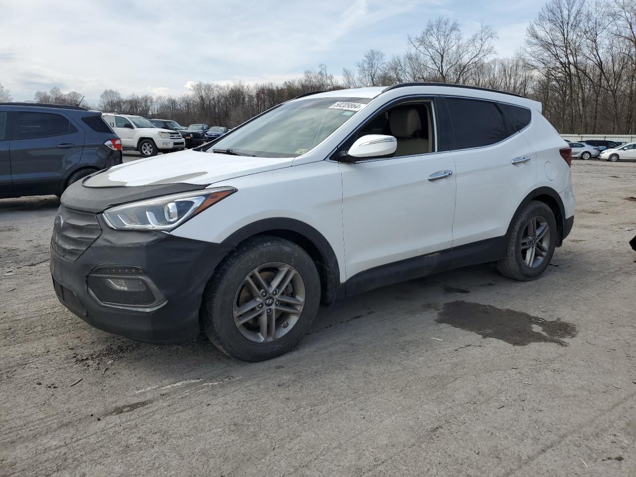 HYUNDAI SANTA FE 2017 5nmzudlb6hh013105