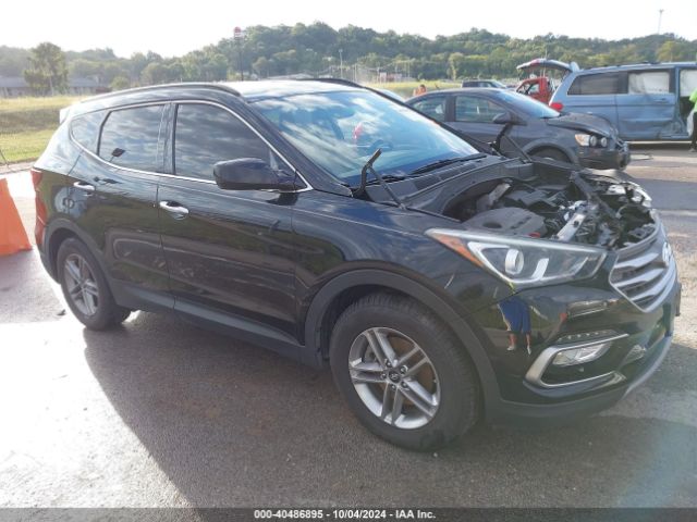 HYUNDAI SANTA FE SPORT 2017 5nmzudlb8hh013235