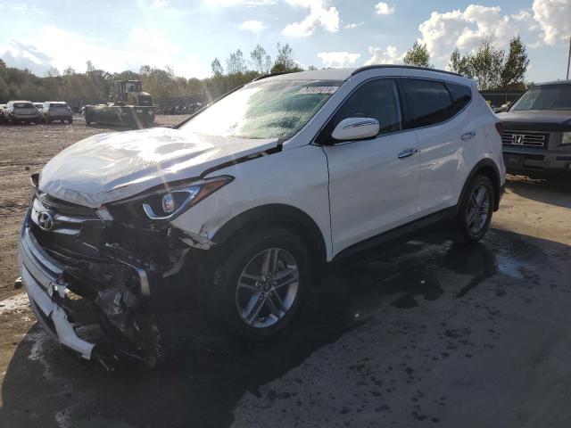 HYUNDAI SANTA FE S 2017 5nmzudlbxhh001815