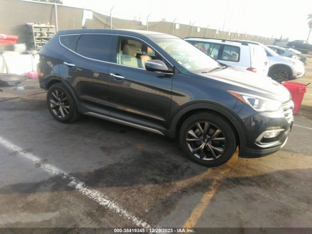 HYUNDAI SANTA FE SPORT 2017 5nmzw4laxhh039434