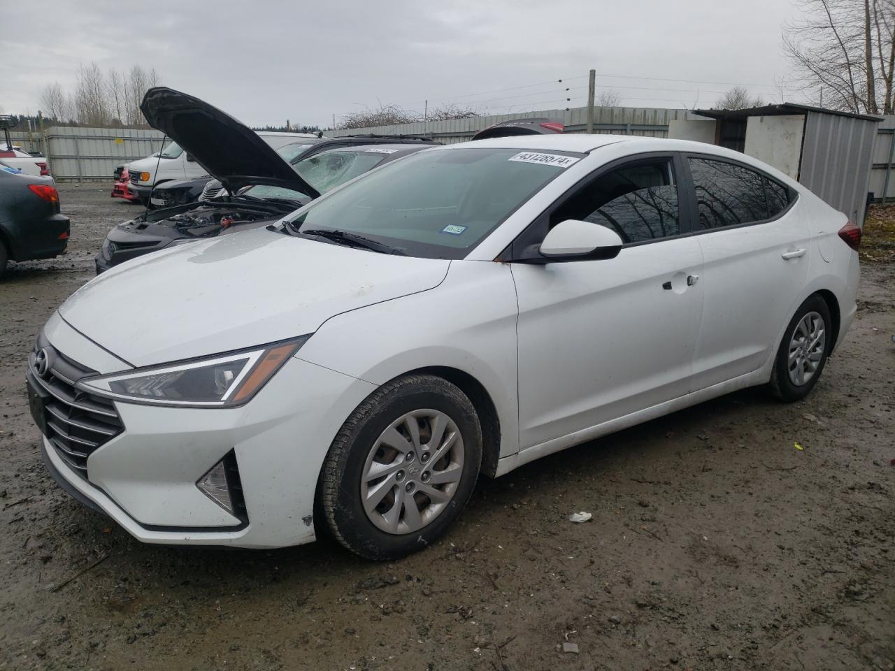 HYUNDAI ELANTRA 2019 5npd74lf5kh449149