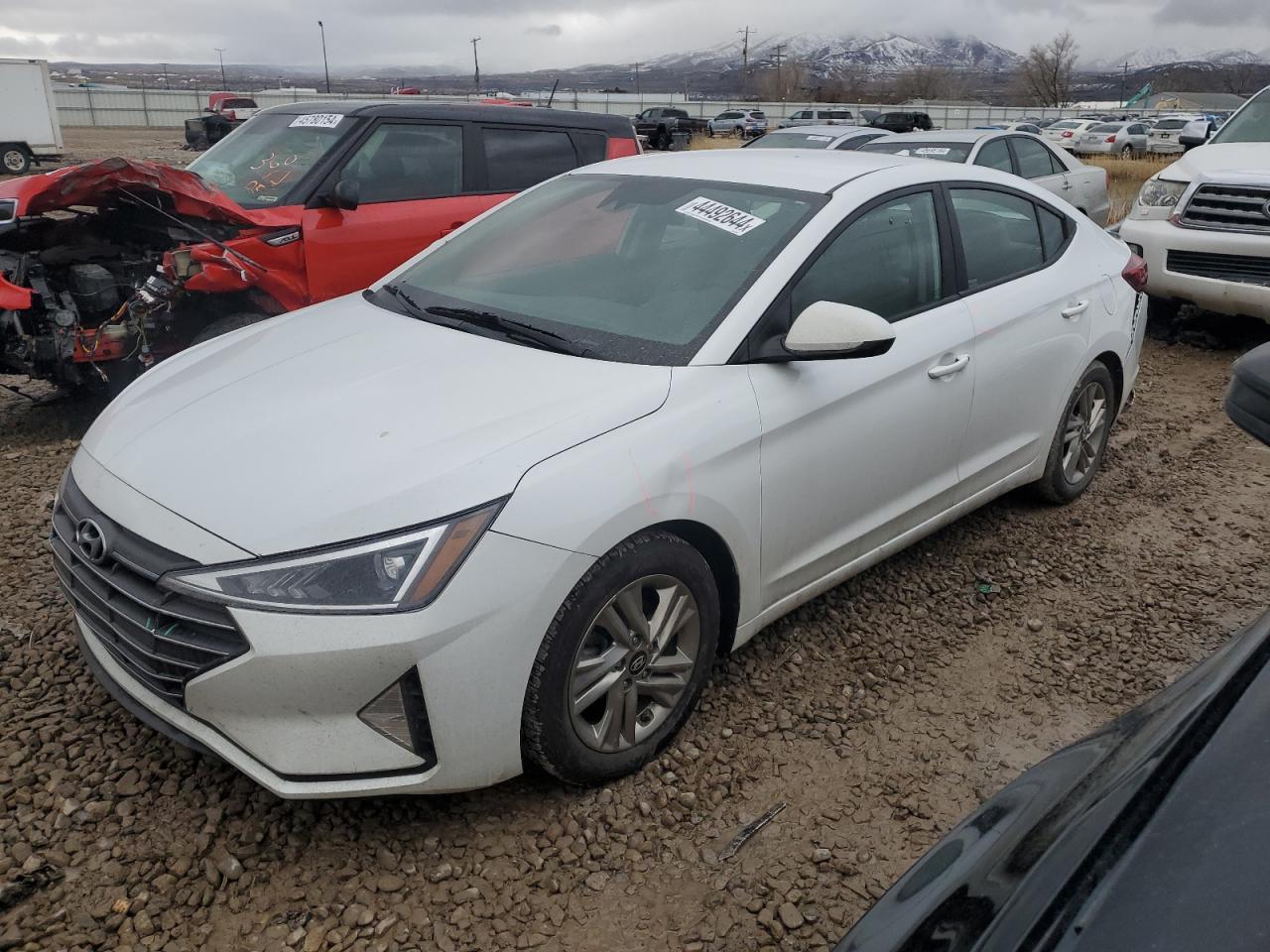 HYUNDAI ELANTRA 2019 5npd84lf0kh479141