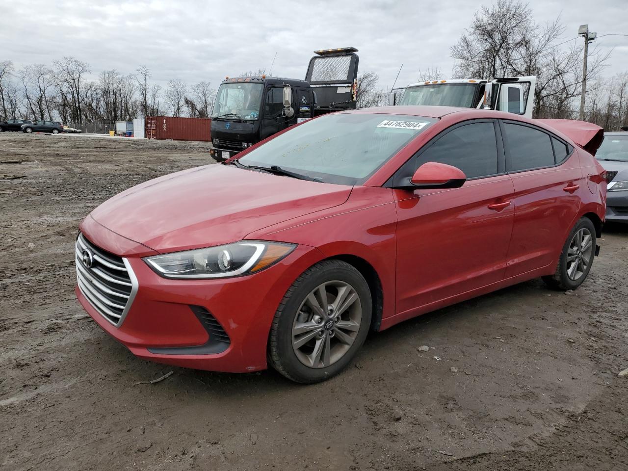 HYUNDAI ELANTRA 2018 5npd84lf1jh221869