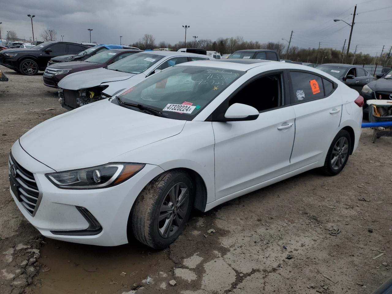 HYUNDAI ELANTRA 2017 5npd84lf2hh145928