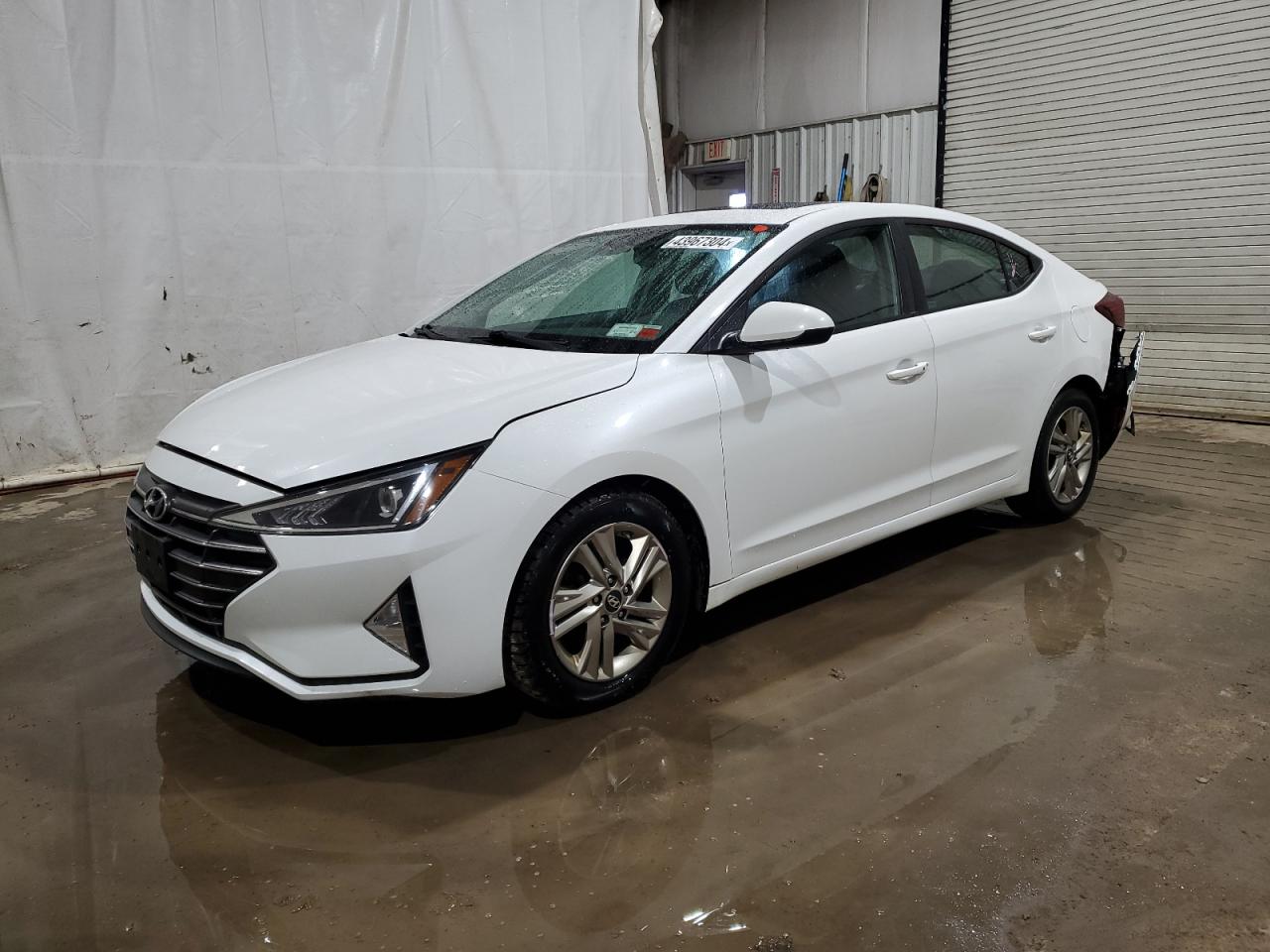 HYUNDAI ELANTRA 2019 5npd84lf2kh457108