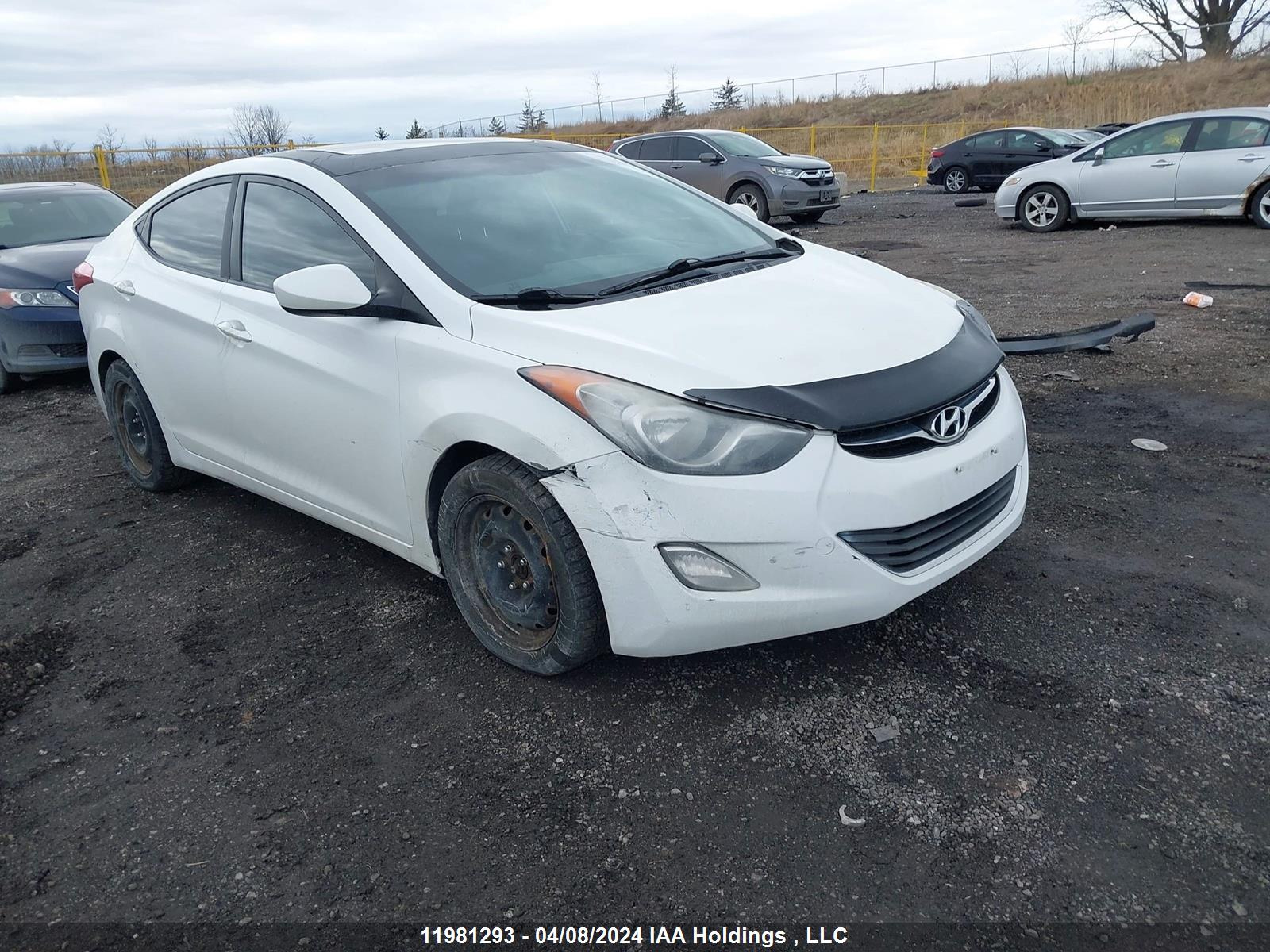 HYUNDAI ELANTRA 2013 5npdh4ae2dh190436