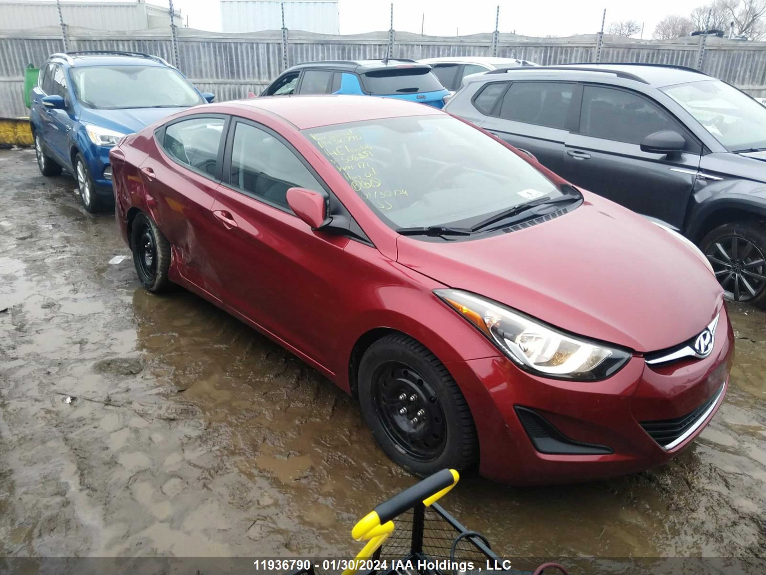 HYUNDAI ELANTRA 2014 5npdh4ae3eh508551