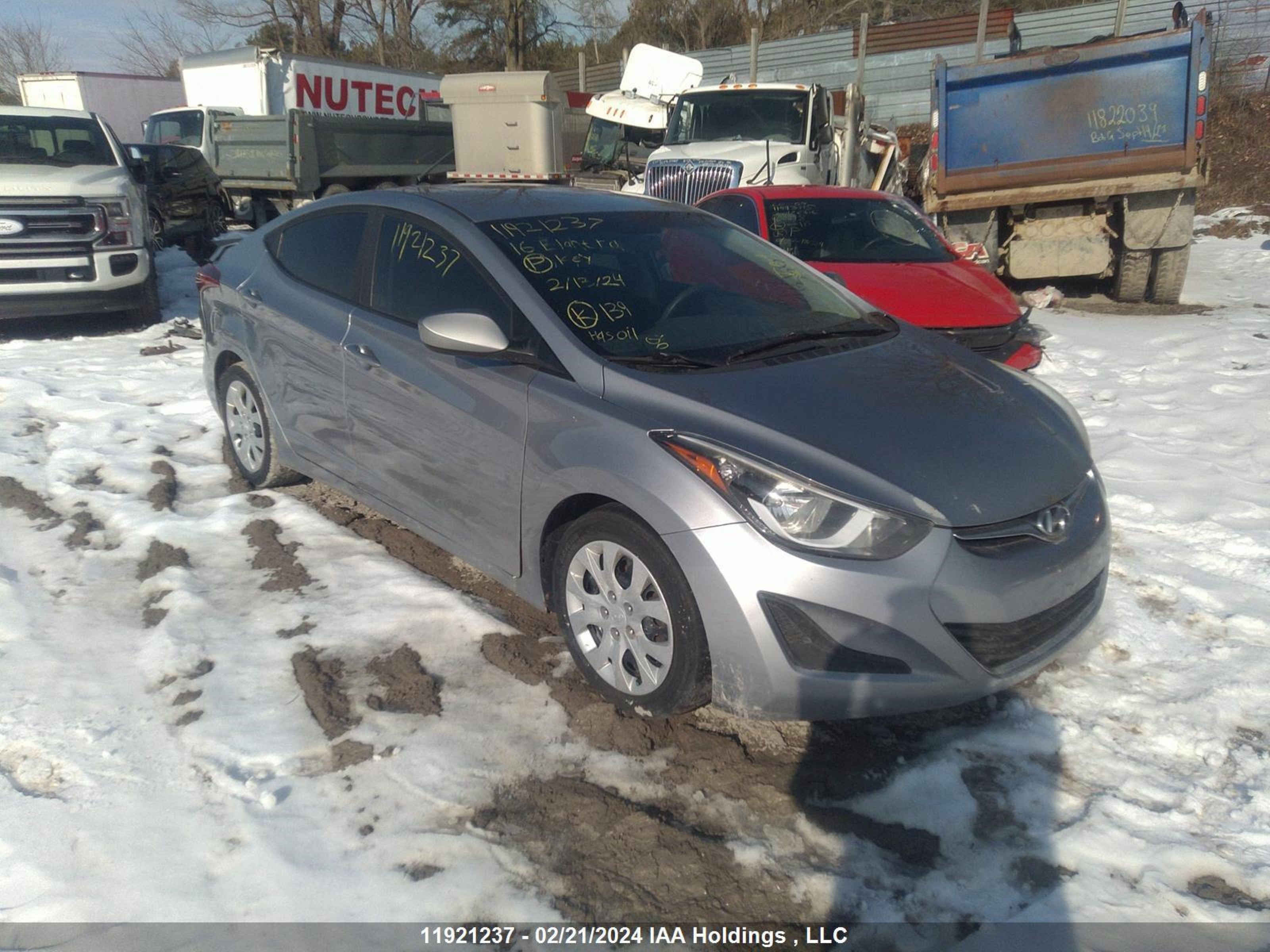 HYUNDAI ELANTRA 2016 5npdh4ae3gh726735