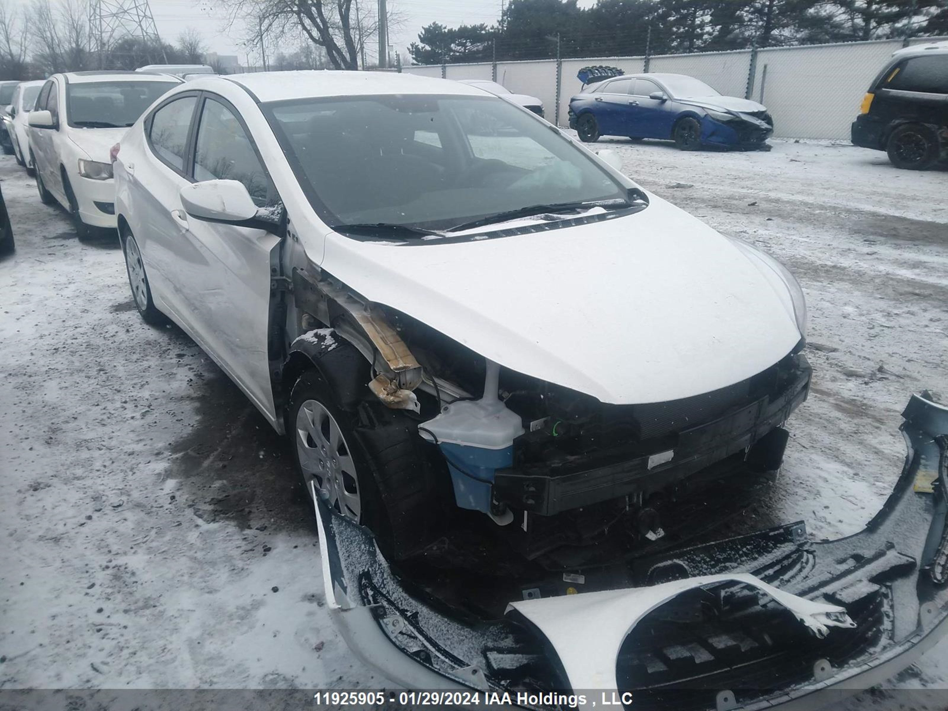 HYUNDAI ELANTRA 2014 5npdh4ae5eh529451