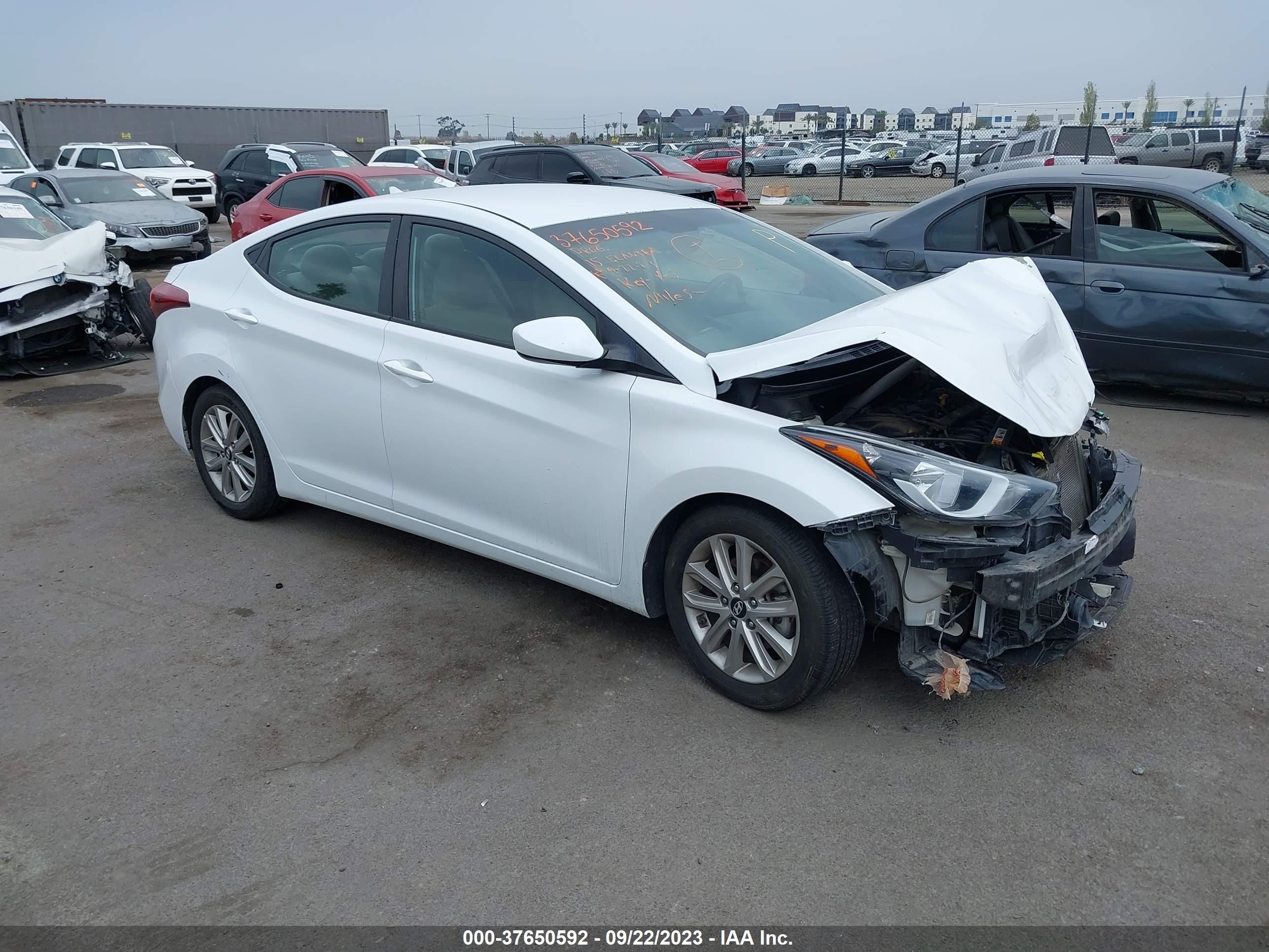 HYUNDAI ELANTRA 2015 5npdh4ae8fh591377