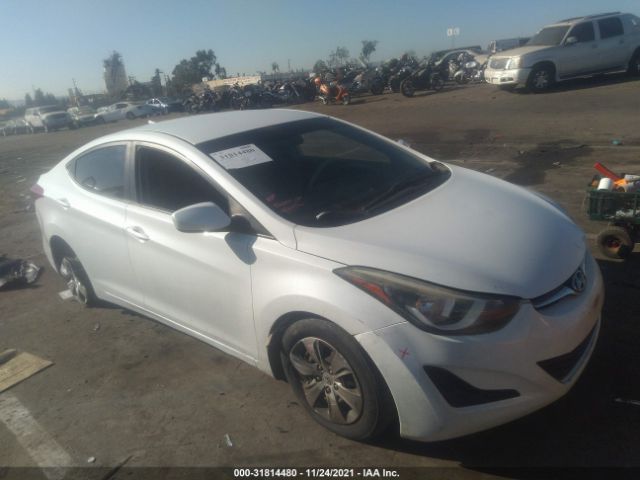 HYUNDAI ELANTRA 2016 5npdh4ae9gh695300