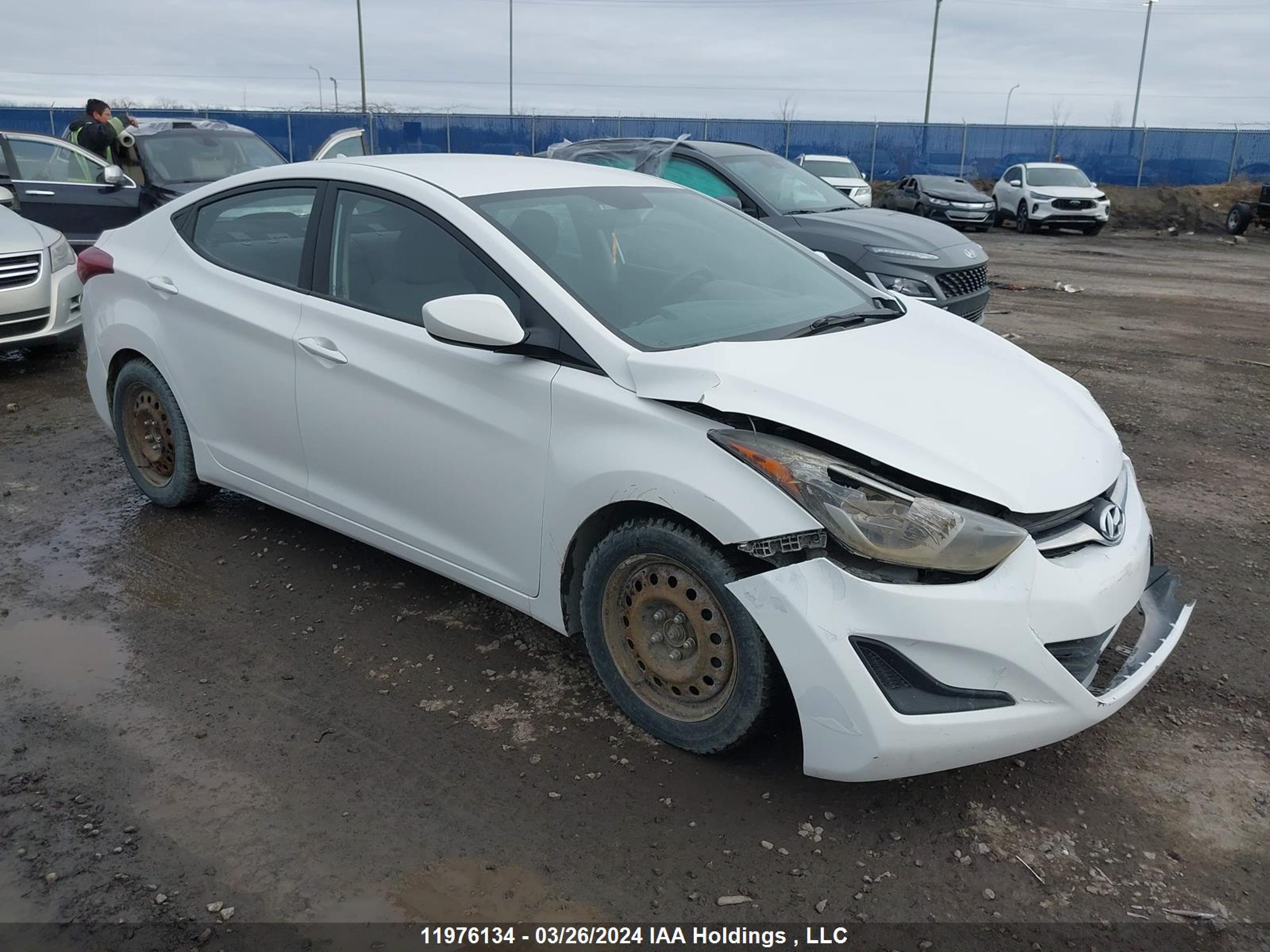 HYUNDAI ELANTRA 2014 5npdh4aexeh503718