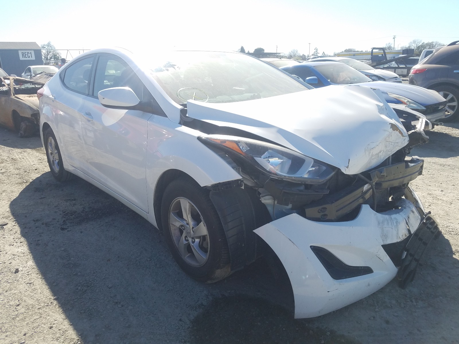 HYUNDAI ELANTRA SE 2014 5npdh4aexeh516162