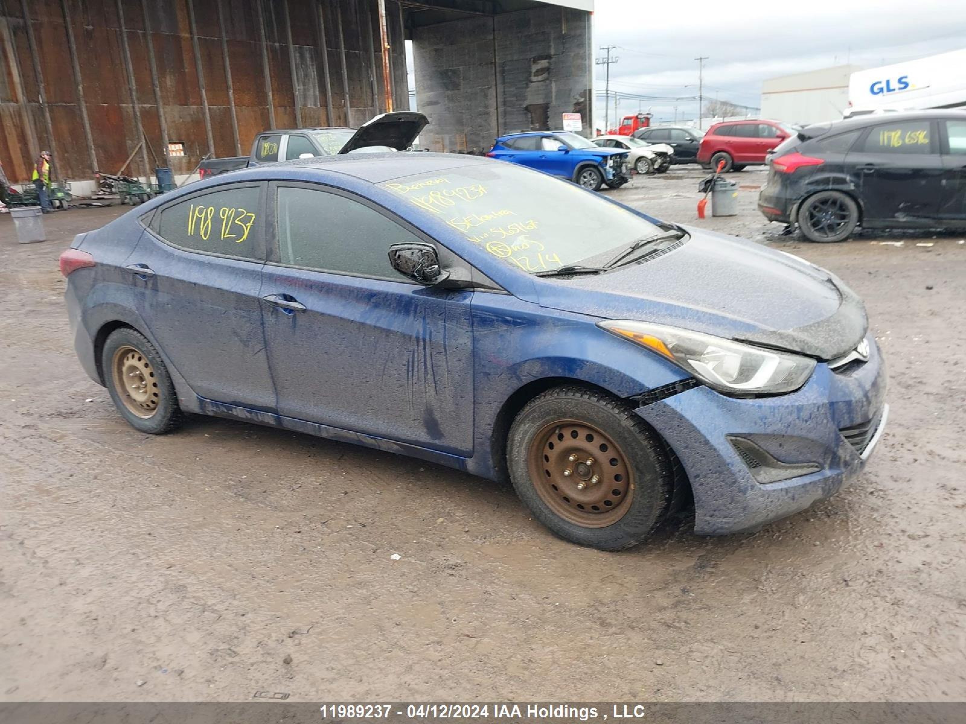 HYUNDAI ELANTRA 2015 5npdh4aexfh565167