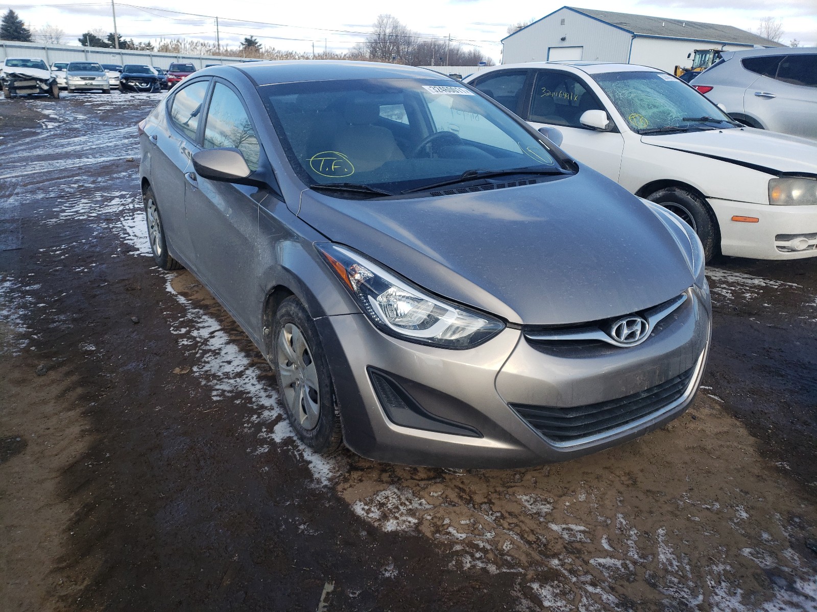 HYUNDAI ELANTRA SE 2016 5npdh4aexgh753107