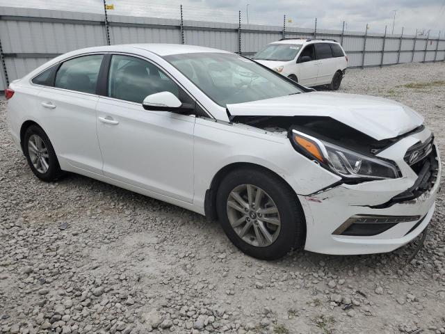 HYUNDAI SONATA ECO 2015 5npe24aa0fh119919