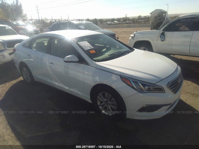 HYUNDAI SONATA 2015 5npe24aa0fh132945