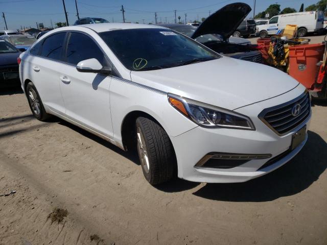 HYUNDAI SONATA ECO 2015 5npe24aa0fh139538