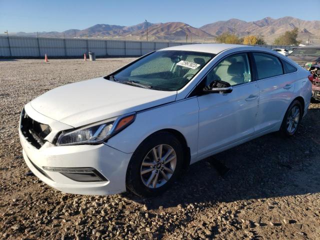 HYUNDAI SONATA ECO 2015 5npe24aa0fh162902