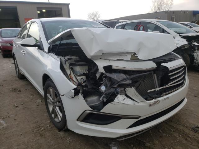 HYUNDAI SONATA ECO 2017 5npe24aa0hh442600