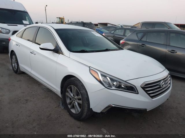 HYUNDAI SONATA 2015 5npe24aa1fh114387